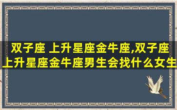 双子座 上升星座金牛座,双子座上升星座金牛座男生会找什么女生